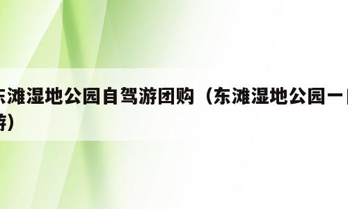 东滩湿地公园自驾游团购（东滩湿地公园一日游）