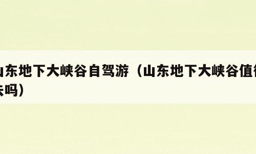 山东地下大峡谷自驾游（山东地下大峡谷值得去吗）