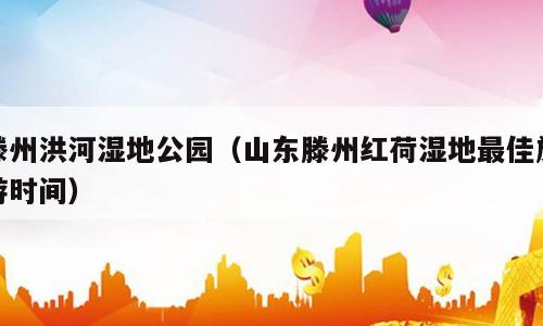 滕州洪河湿地公园（山东滕州红荷湿地最佳旅游时间）