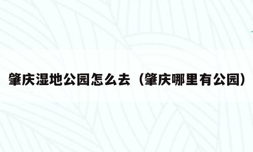 肇庆湿地公园怎么去（肇庆哪里有公园）