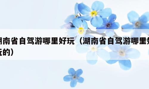 湖南省自驾游哪里好玩（湖南省自驾游哪里好玩的）