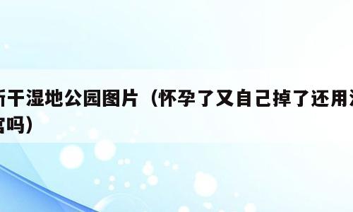 新干湿地公园图片（怀孕了又自己掉了还用清宫吗）
