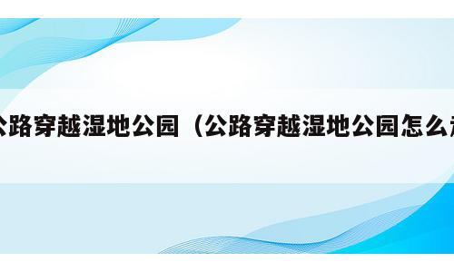 公路穿越湿地公园（公路穿越湿地公园怎么走）