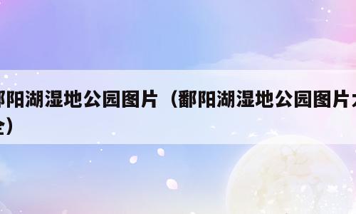 鄱阳湖湿地公园图片（鄱阳湖湿地公园图片大全）