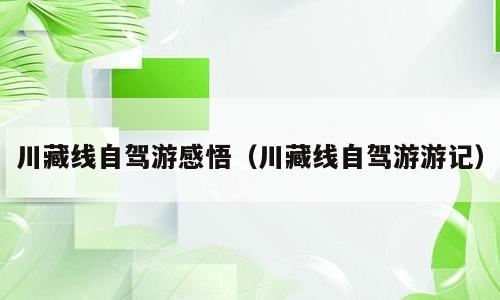 川藏线自驾游感悟（川藏线自驾游游记）