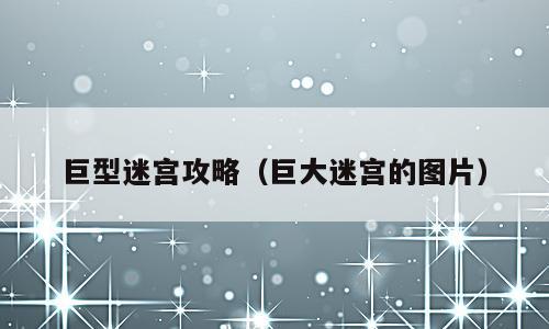 巨型迷宫攻略（巨大迷宫的图片）