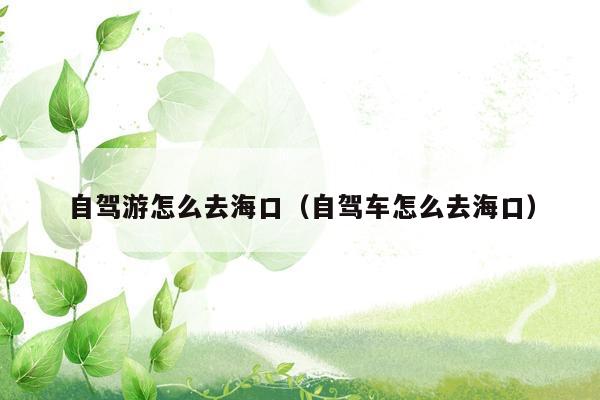 自驾游怎么去海口（自驾车怎么去海口）