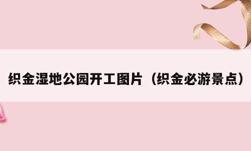 织金湿地公园开工图片（织金必游景点）