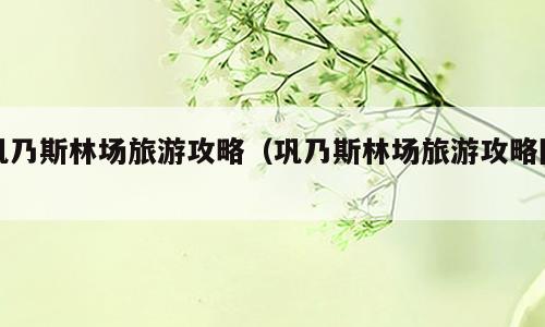巩乃斯林场旅游攻略（巩乃斯林场旅游攻略图）