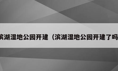 滨湖湿地公园开建（滨湖湿地公园开建了吗）