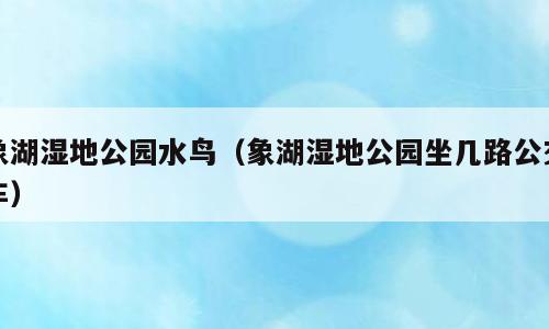 象湖湿地公园水鸟（象湖湿地公园坐几路公交车）