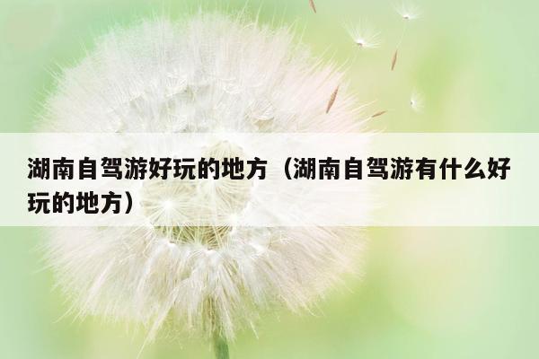 湖南自驾游好玩的地方（湖南自驾游有什么好玩的地方）
