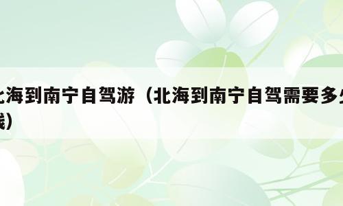 北海到南宁自驾游（北海到南宁自驾需要多少钱）