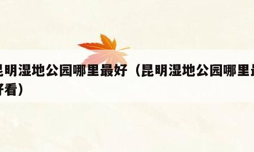 昆明湿地公园哪里最好（昆明湿地公园哪里最好看）