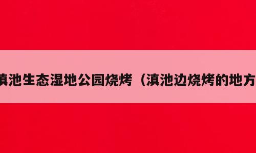 滇池生态湿地公园烧烤（滇池边烧烤的地方）