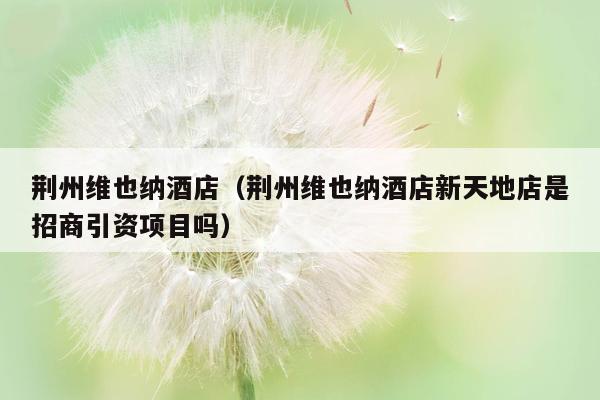 荆州维也纳酒店（荆州维也纳酒店新天地店是招商引资项目吗）