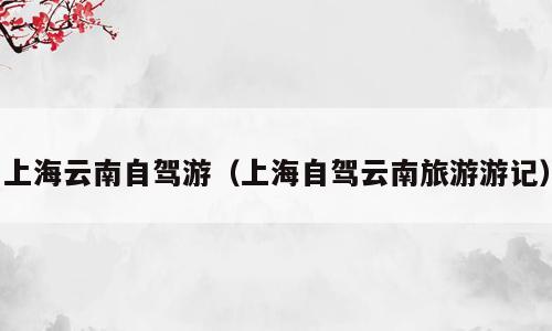 上海云南自驾游（上海自驾云南旅游游记）