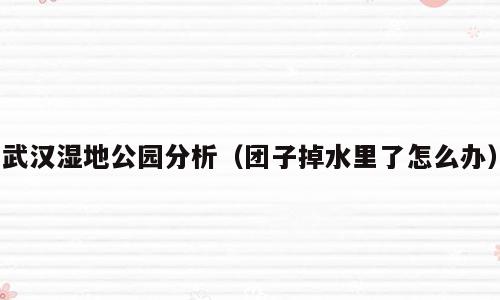 武汉湿地公园分析（团子掉水里了怎么办）