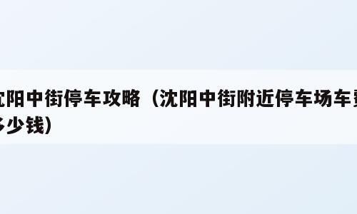 沈阳中街停车攻略（沈阳中街附近停车场车费多少钱）