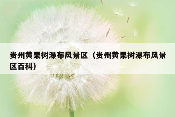 贵州黄果树瀑布风景区（贵州黄果树瀑布风景区百科）