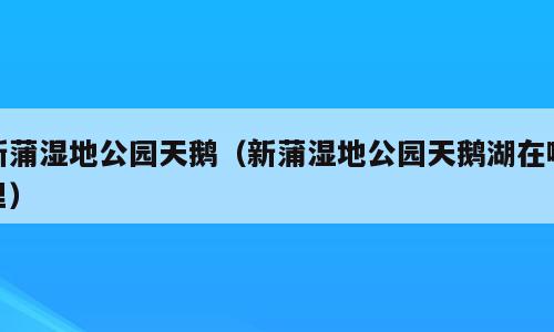 新蒲湿地公园天鹅（新蒲湿地公园天鹅湖在哪里）