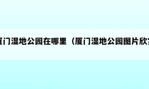 厦门湿地公园在哪里（厦门湿地公园图片欣赏）