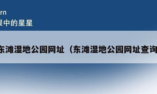 东滩湿地公园网址（东滩湿地公园网址查询）