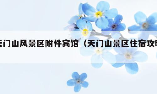 天门山风景区附件宾馆（天门山景区住宿攻略）