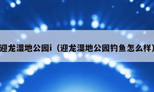迎龙湿地公园i（迎龙湿地公园钓鱼怎么样）