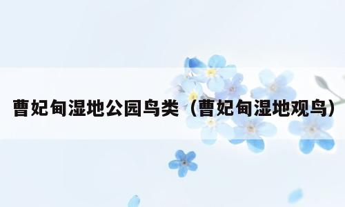 曹妃甸湿地公园鸟类（曹妃甸湿地观鸟）