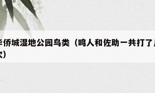 华侨城湿地公园鸟类（鸣人和佐助一共打了几次）