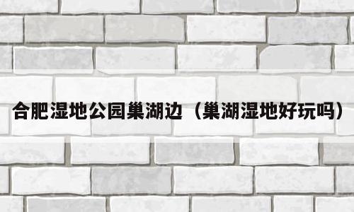 合肥湿地公园巢湖边（巢湖湿地好玩吗）