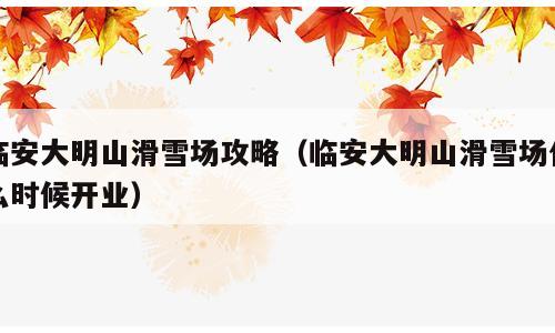 临安大明山滑雪场攻略（临安大明山滑雪场什么时候开业）