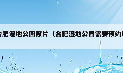 合肥湿地公园照片（合肥湿地公园需要预约吗）