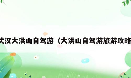武汉大洪山自驾游（大洪山自驾游旅游攻略）