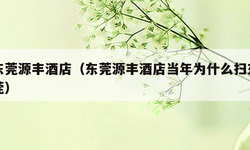 东莞源丰酒店（东莞源丰酒店当年为什么扫东莞）