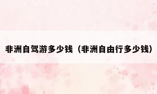 非洲自驾游多少钱（非洲自由行多少钱）