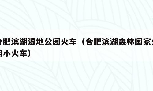 合肥滨湖湿地公园火车（合肥滨湖森林国家公园小火车）