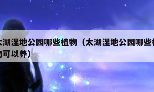 太湖湿地公园哪些植物（太湖湿地公园哪些植物可以养）