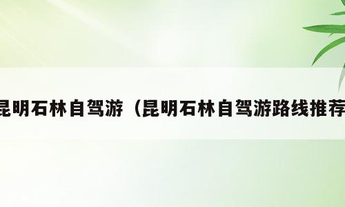 昆明石林自驾游（昆明石林自驾游路线推荐）