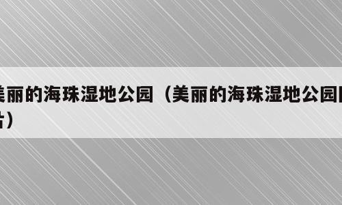 美丽的海珠湿地公园（美丽的海珠湿地公园图片）