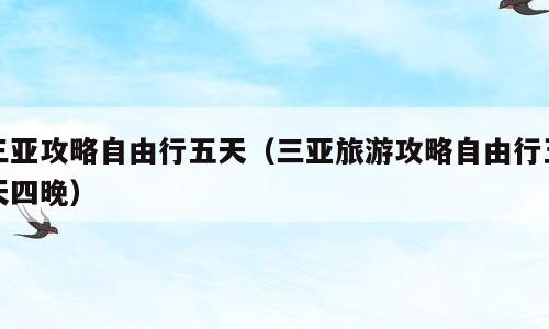 三亚攻略自由行五天（三亚旅游攻略自由行五天四晚）