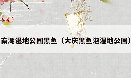 南湖湿地公园黑鱼（大庆黑鱼泡湿地公园）