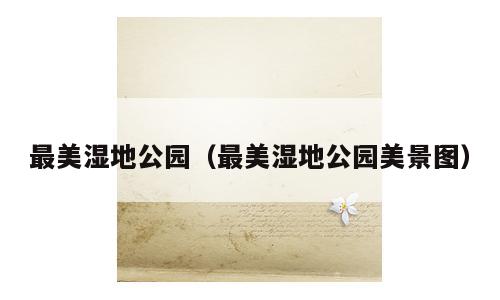 最美湿地公园（最美湿地公园美景图）