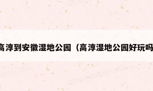 高淳到安徽湿地公园（高淳湿地公园好玩吗）