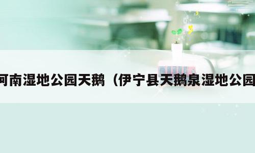 河南湿地公园天鹅（伊宁县天鹅泉湿地公园）