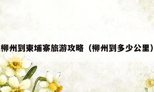 柳州到柬埔寨旅游攻略（柳州到多少公里）