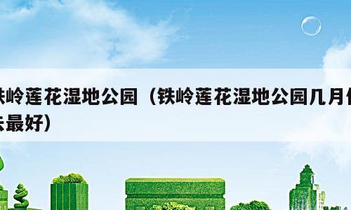 铁岭莲花湿地公园（铁岭莲花湿地公园几月份去最好）