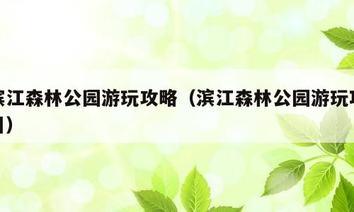 滨江森林公园游玩攻略（滨江森林公园游玩项目）