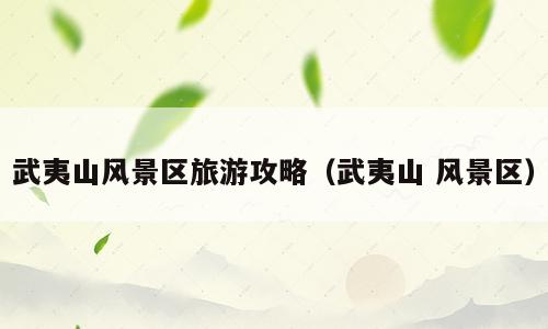 武夷山风景区旅游攻略（武夷山 风景区）